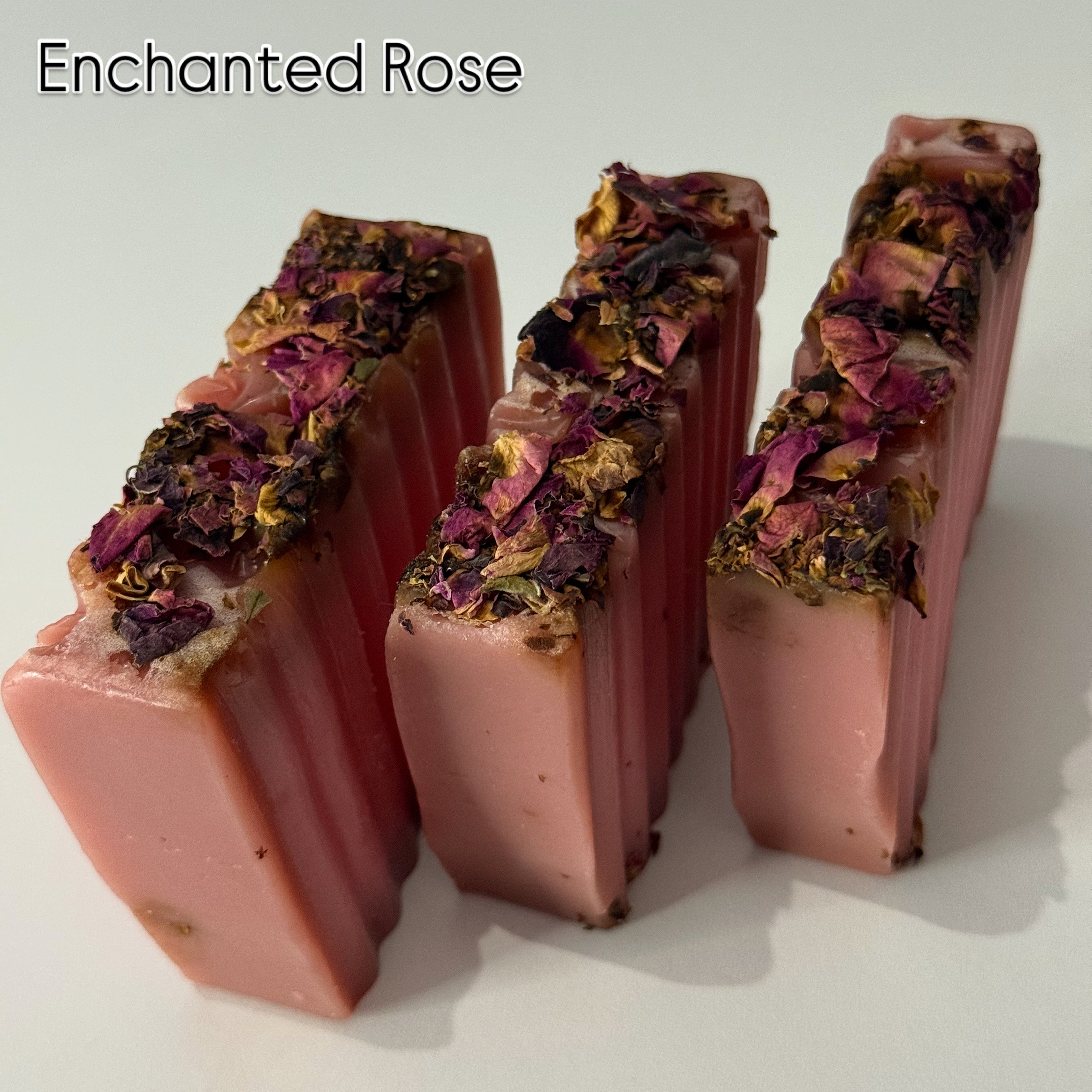 Enchanted Rose