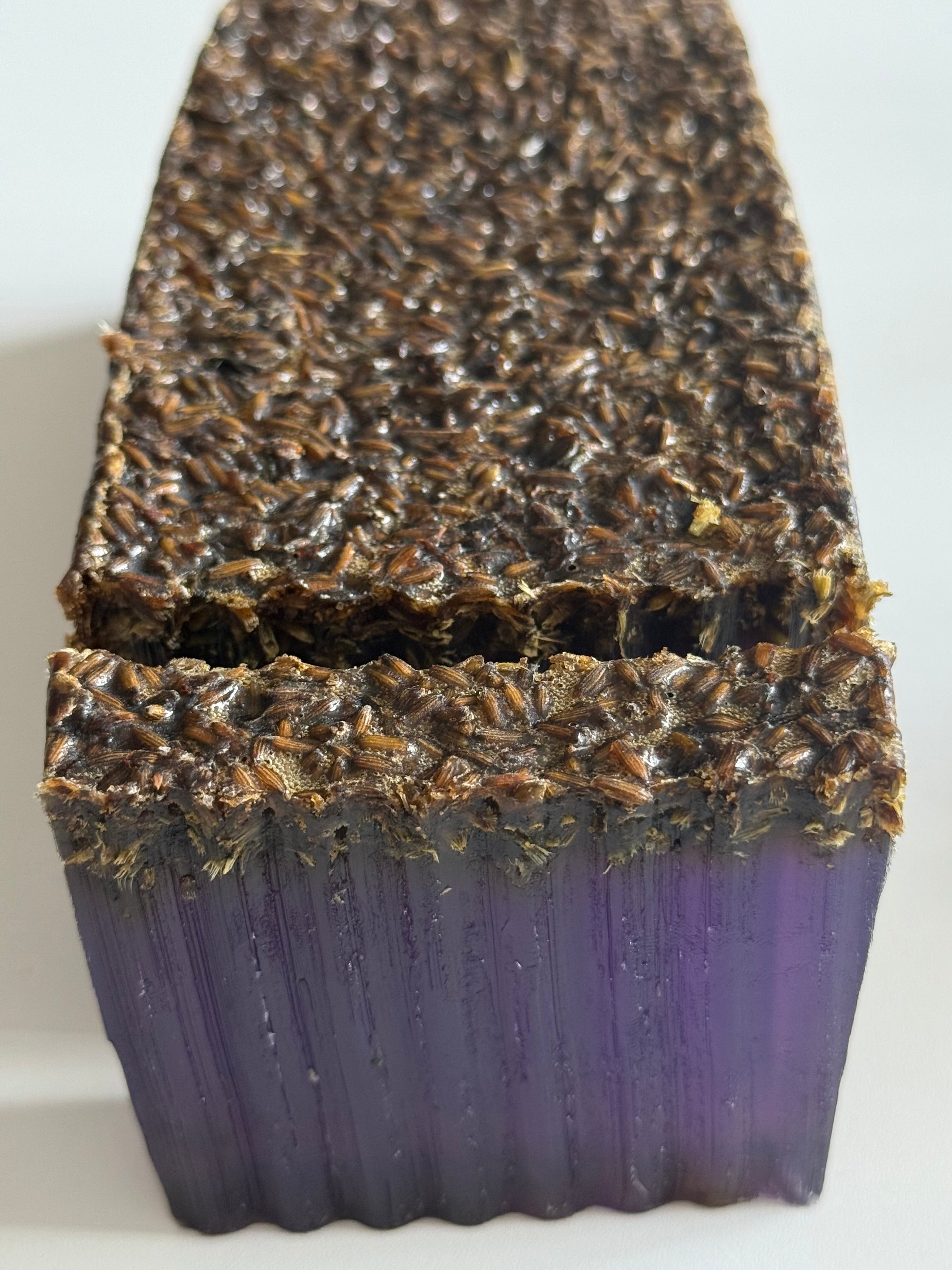 Sleepy Lavender Handcrafted Soap